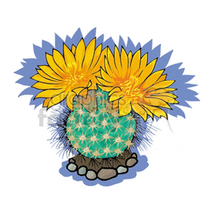   plant plants desert cactus cactuses  cactus41412.gif Clip Art Nature Plants 