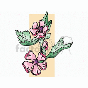 hollyhock clipart. Commercial use image # 152078