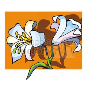 liliumregale clipart. Commercial use image # 152111