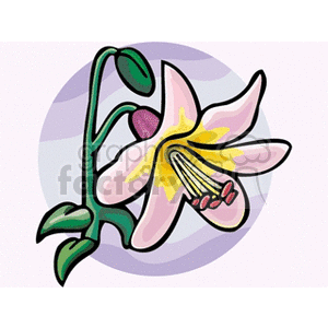   plant plants flower flowers lily lilys  lily.gif Clip Art Nature Plants 