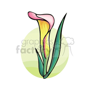 lily1312 clipart. Commercial use image # 152115