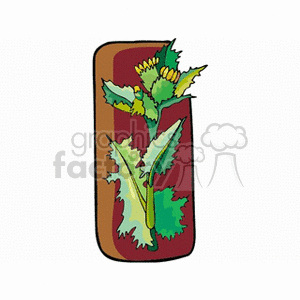 thistle clipart. Royalty-free image # 152329
