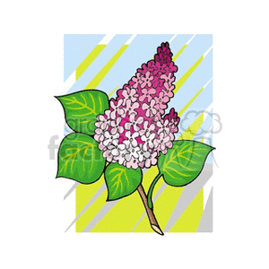 Pink lilacs clipart. Royalty-free image # 152594