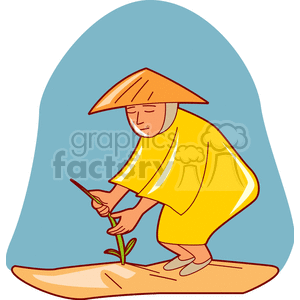 asian picking rice