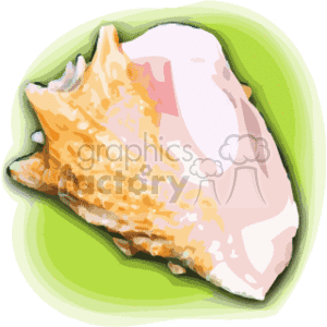 Hawaiian conch shell clipart. Royalty-free image # 163002