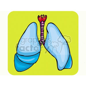   lung lungs  aircells.gif Clip Art Science 
