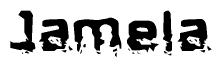 The image contains the word Jamela in a stylized font with a static looking effect at the bottom of the words