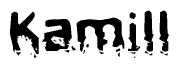 The image contains the word Kamill in a stylized font with a static looking effect at the bottom of the words