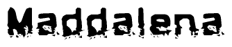 The image contains the word Maddalena in a stylized font with a static looking effect at the bottom of the words