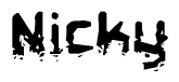 The image contains the word Nicky in a stylized font with a static looking effect at the bottom of the words