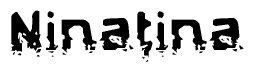 The image contains the word Ninatina in a stylized font with a static looking effect at the bottom of the words