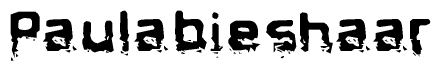 The image contains the word Paulabieshaar in a stylized font with a static looking effect at the bottom of the words