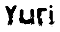 The image contains the word Yuri in a stylized font with a static looking effect at the bottom of the words
