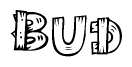 The image contains the name Bud written in a decorative, stylized font with a hand-drawn appearance. The lines are made up of what appears to be planks of wood, which are nailed together