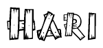 The image contains the name Hari written in a decorative, stylized font with a hand-drawn appearance. The lines are made up of what appears to be planks of wood, which are nailed together