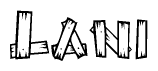 The image contains the name Lani written in a decorative, stylized font with a hand-drawn appearance. The lines are made up of what appears to be planks of wood, which are nailed together