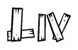 The image contains the name Liv written in a decorative, stylized font with a hand-drawn appearance. The lines are made up of what appears to be planks of wood, which are nailed together