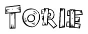 The image contains the name Torie written in a decorative, stylized font with a hand-drawn appearance. The lines are made up of what appears to be planks of wood, which are nailed together