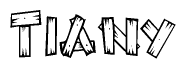 The image contains the name Tiany written in a decorative, stylized font with a hand-drawn appearance. The lines are made up of what appears to be planks of wood, which are nailed together