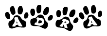 The image shows a series of animal paw prints arranged in a horizontal line. Each paw print contains a letter, and together they spell out the word Adra.