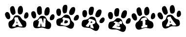 The image shows a row of animal paw prints, each containing a letter. The letters spell out the word Andreia within the paw prints.