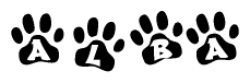 The image shows a series of animal paw prints arranged in a horizontal line. Each paw print contains a letter, and together they spell out the word Alba.