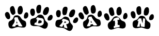 The image shows a series of animal paw prints arranged in a horizontal line. Each paw print contains a letter, and together they spell out the word Adrain.