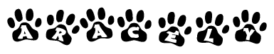 The image shows a series of animal paw prints arranged in a horizontal line. Each paw print contains a letter, and together they spell out the word Aracely.