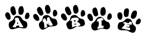 The image shows a series of animal paw prints arranged horizontally. Within each paw print, there's a letter; together they spell Ambie