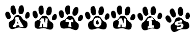 The image shows a row of animal paw prints, each containing a letter. The letters spell out the word Antonis within the paw prints.