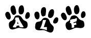 The image shows a series of animal paw prints arranged in a horizontal line. Each paw print contains a letter, and together they spell out the word Alf.