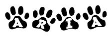 The image shows a row of animal paw prints, each containing a letter. The letters spell out the word Aria within the paw prints.