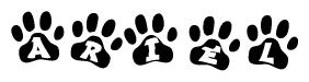 The image shows a series of animal paw prints arranged horizontally. Within each paw print, there's a letter; together they spell Ariel