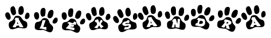 The image shows a series of animal paw prints arranged horizontally. Within each paw print, there's a letter; together they spell Alexsandra