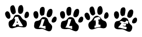 The image shows a series of animal paw prints arranged in a horizontal line. Each paw print contains a letter, and together they spell out the word Allie.