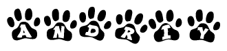 The image shows a series of animal paw prints arranged in a horizontal line. Each paw print contains a letter, and together they spell out the word Andriy.