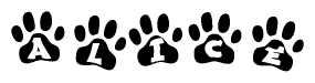 The image shows a series of animal paw prints arranged in a horizontal line. Each paw print contains a letter, and together they spell out the word Alice.