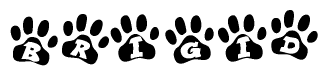 The image shows a row of animal paw prints, each containing a letter. The letters spell out the word Brigid within the paw prints.