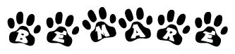 The image shows a series of animal paw prints arranged horizontally. Within each paw print, there's a letter; together they spell Bemare