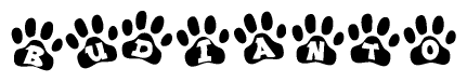 The image shows a series of animal paw prints arranged horizontally. Within each paw print, there's a letter; together they spell Budianto