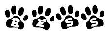 The image shows a row of animal paw prints, each containing a letter. The letters spell out the word Bess within the paw prints.