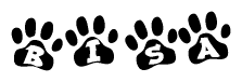 The image shows a row of animal paw prints, each containing a letter. The letters spell out the word Bisa within the paw prints.