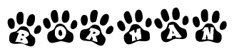 The image shows a series of animal paw prints arranged in a horizontal line. Each paw print contains a letter, and together they spell out the word Borhan.