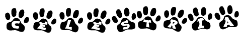 The image shows a series of animal paw prints arranged in a horizontal line. Each paw print contains a letter, and together they spell out the word Celestria.