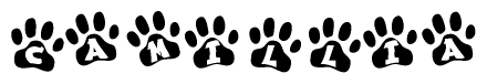 The image shows a row of animal paw prints, each containing a letter. The letters spell out the word Camillia within the paw prints.