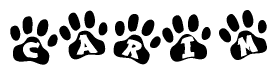 The image shows a series of animal paw prints arranged horizontally. Within each paw print, there's a letter; together they spell Carim