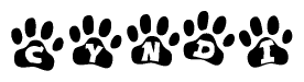 The image shows a series of animal paw prints arranged in a horizontal line. Each paw print contains a letter, and together they spell out the word Cyndi.