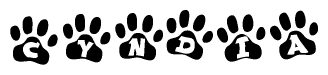 The image shows a row of animal paw prints, each containing a letter. The letters spell out the word Cyndia within the paw prints.