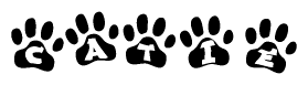 The image shows a series of animal paw prints arranged horizontally. Within each paw print, there's a letter; together they spell Catie