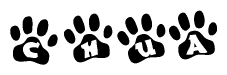 The image shows a series of animal paw prints arranged horizontally. Within each paw print, there's a letter; together they spell Chua